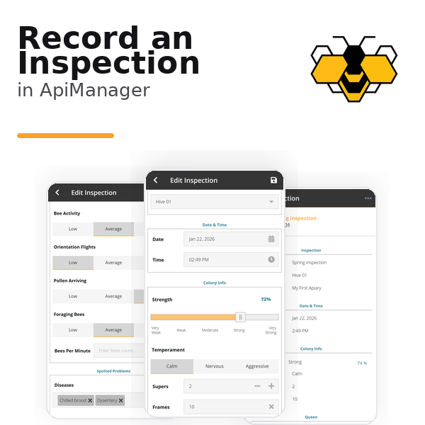 How to Record an Inspection in ApiManager - ApiManager